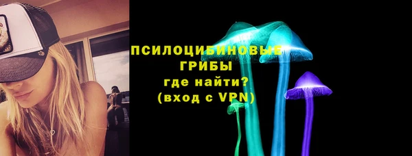 герыч Алексин