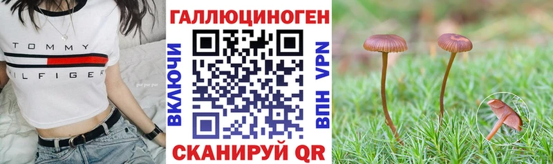 kraken рабочий сайт  Гдов  Галлюциногенные грибы мицелий  закладки 