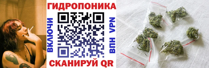 Конопля гибрид Гдов