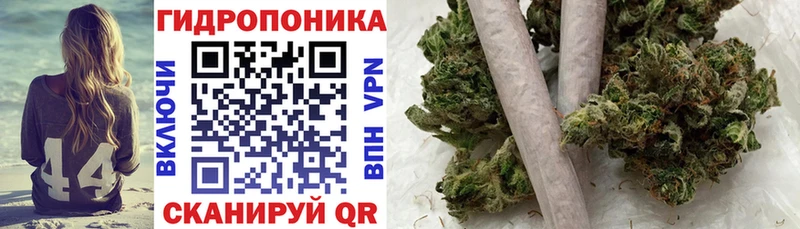 Каннабис Amnesia Гдов
